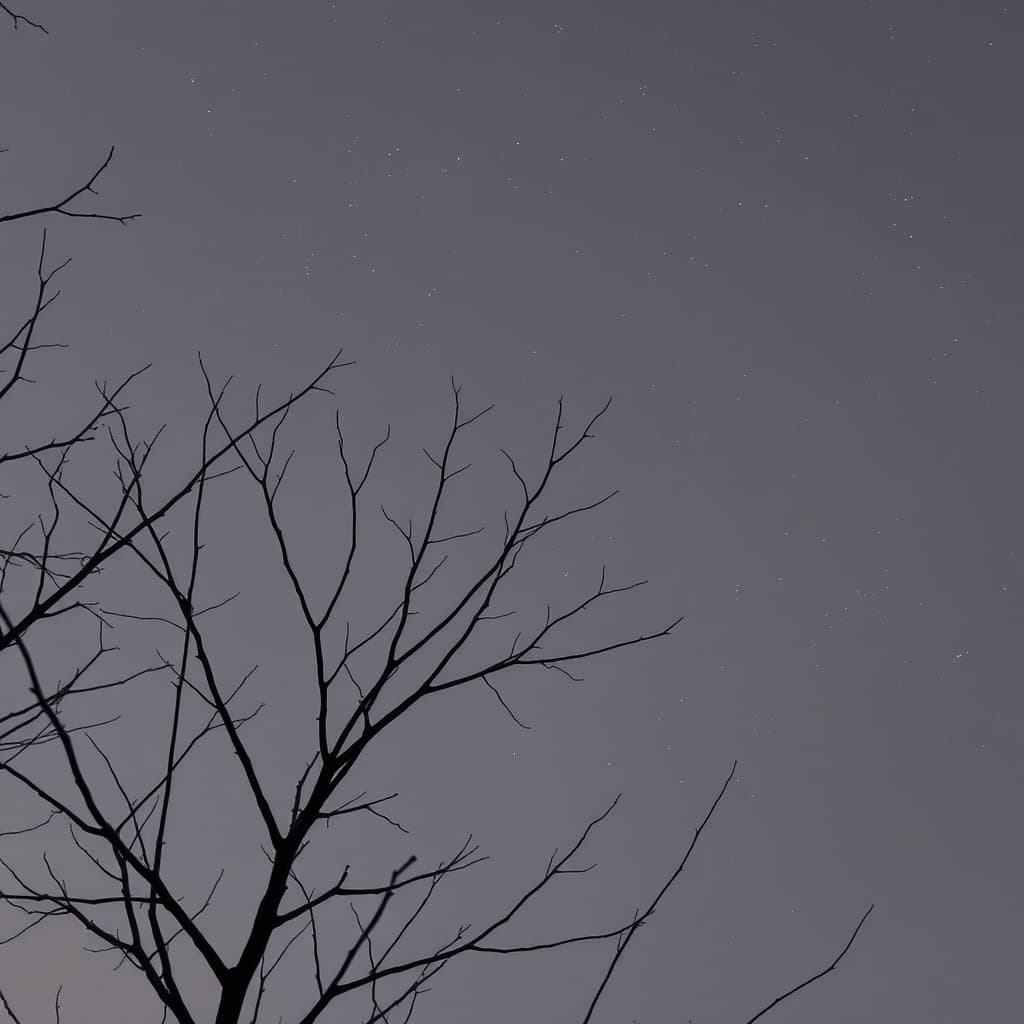 Romans 13:3-5 preview